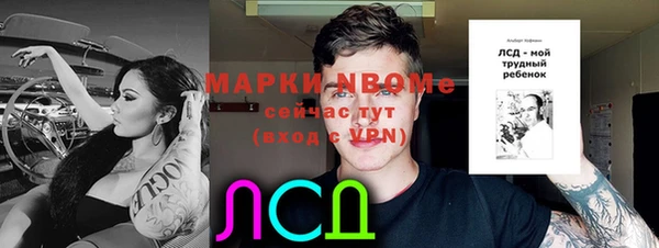 молекула духа Слюдянка