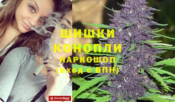 стаф Снежинск