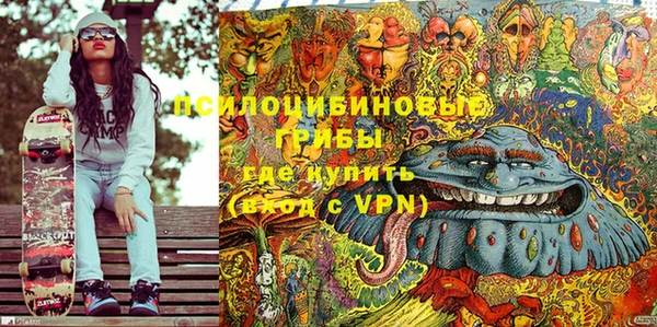 молекула духа Слюдянка