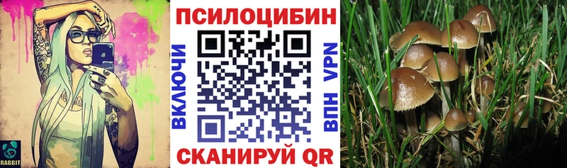 Галлюциногенные грибы мицелий  Купить закладки  Карабаново 